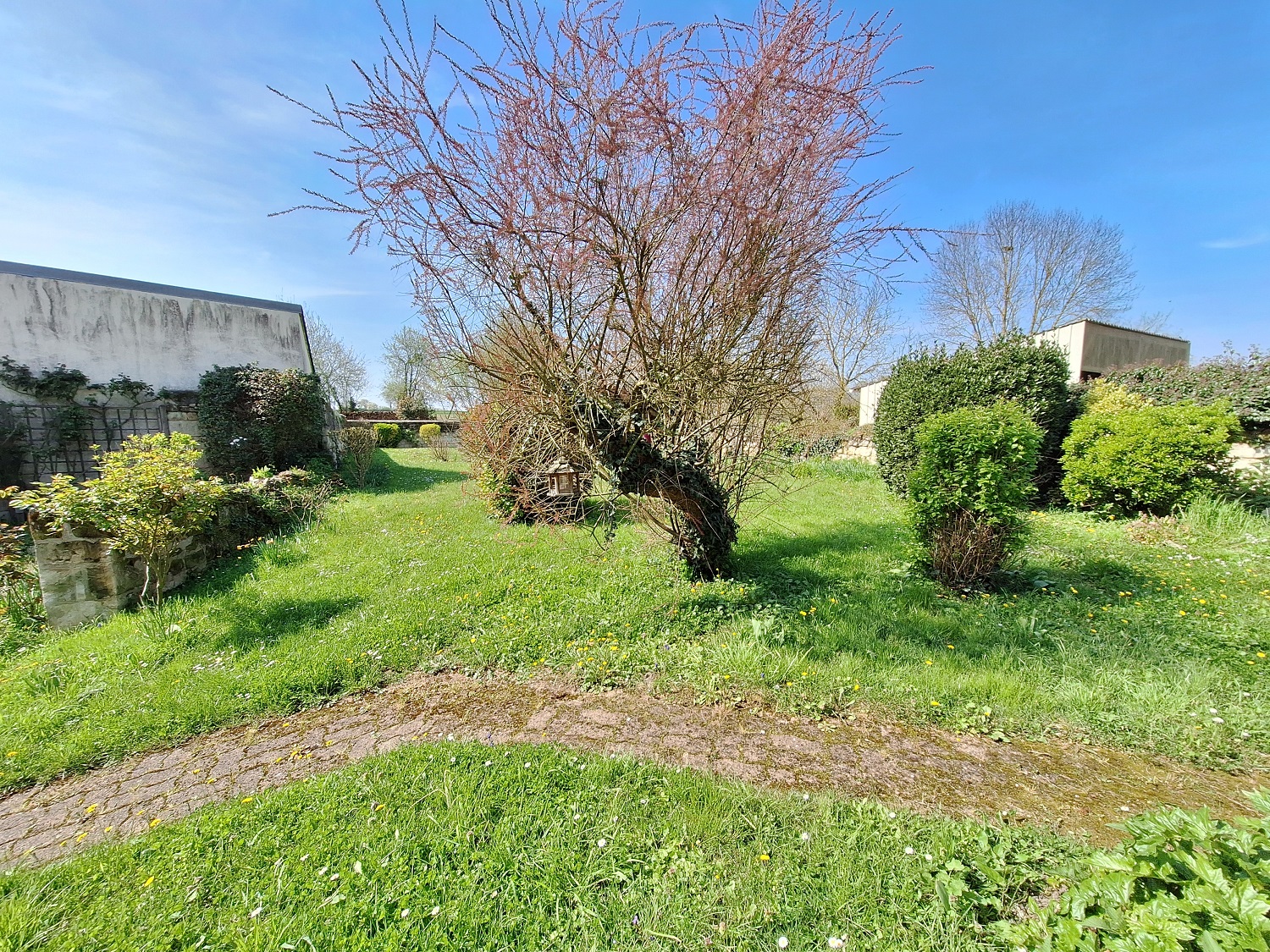 Fontevraud Maison ancienne T7