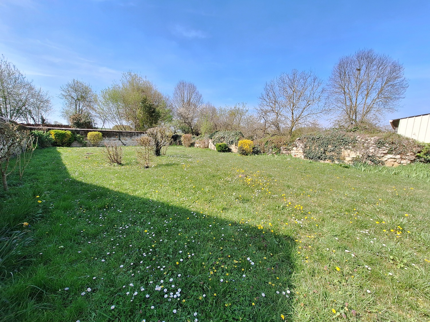 Fontevraud Maison ancienne T7