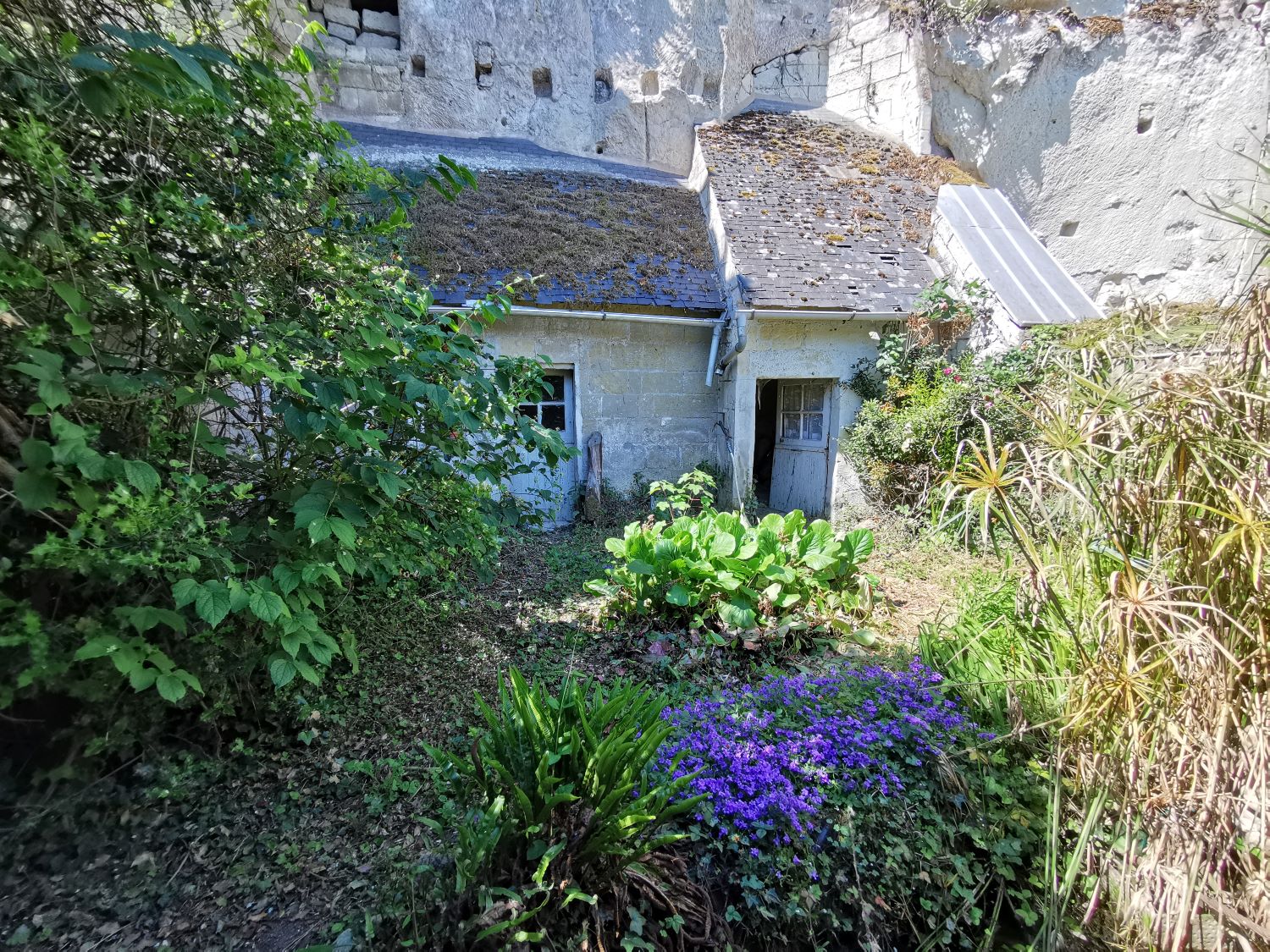 Souzay-Champigny Maison semi-troglodyte à rénover